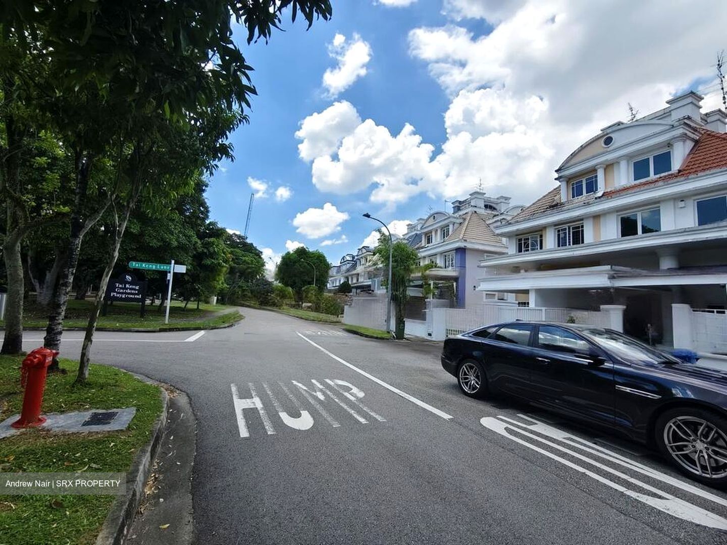Tivoli Gardens (D19), Terrace #449723681